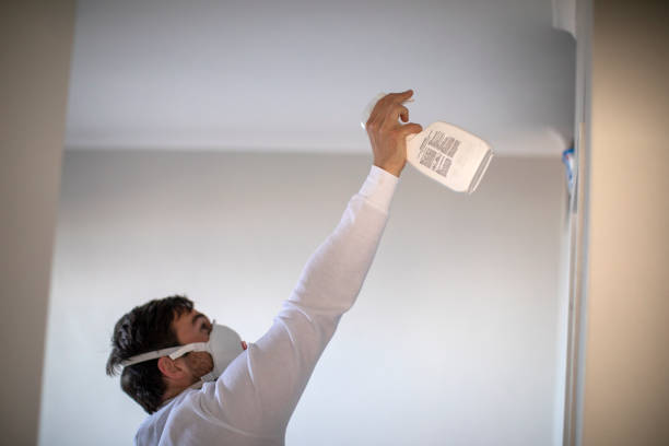 Best Residential Mold Removal  in Manassas Park, VA