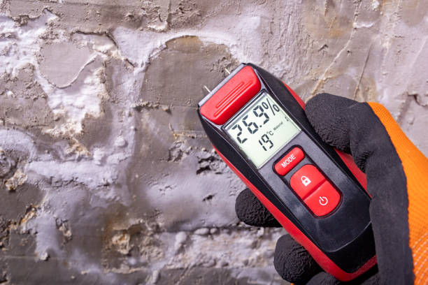 Best Attic Mold Removal  in Manassas Park, VA