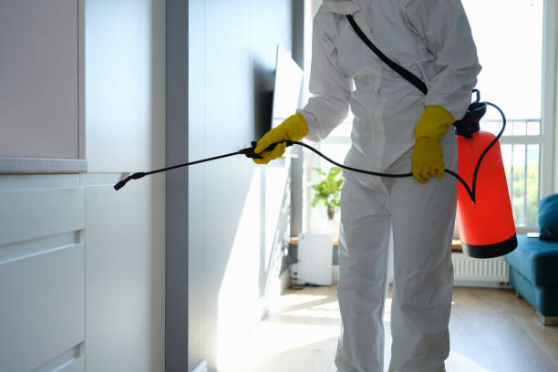 Home Mold Removal in Manassas Park, VA