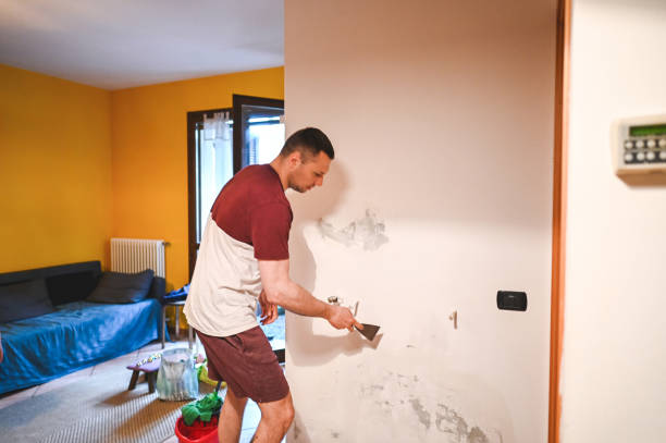 Best Mold Removal Company Near Me  in Manassas Park, VA