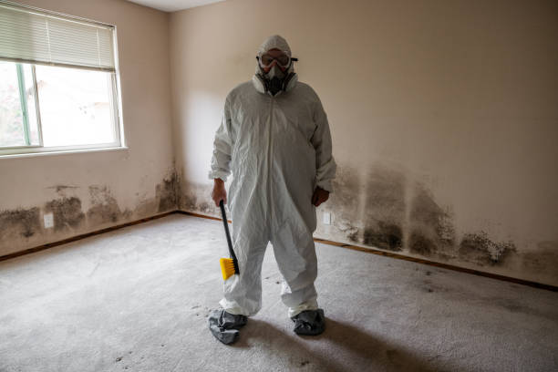 Best Mold Removal Near Me  in Manassas Park, VA
